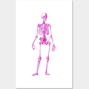 Pink Skeleton Posters and Art